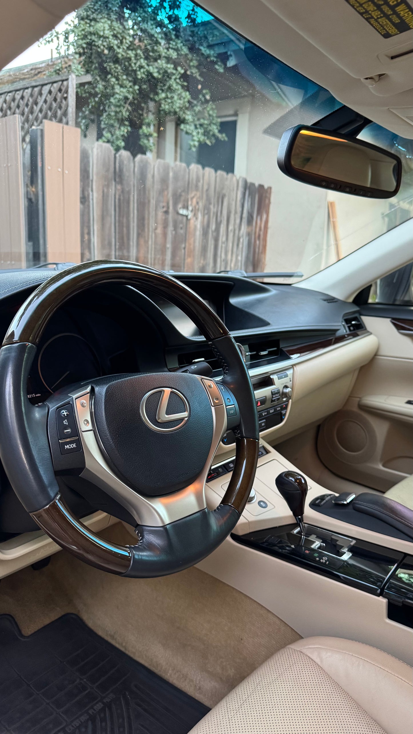 Interior Detailing