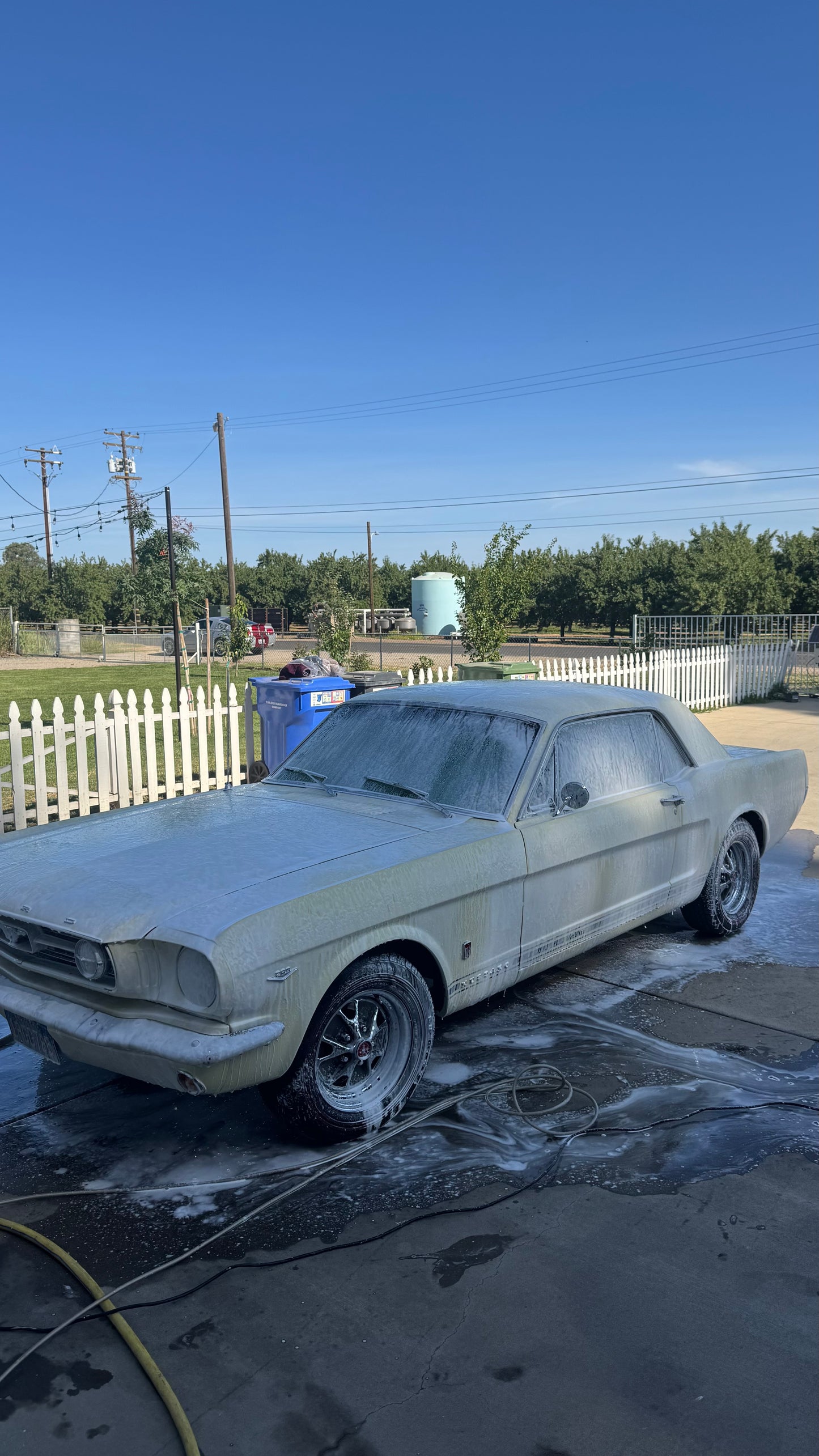Exterior Detailing